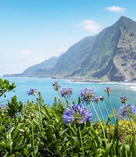 ilha-da-madeira ilha-da-madeira