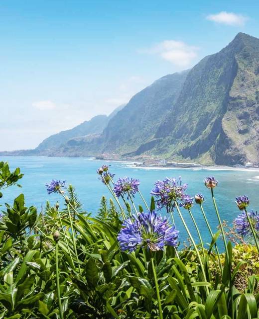 ilha-da-madeira ilha-da-madeira